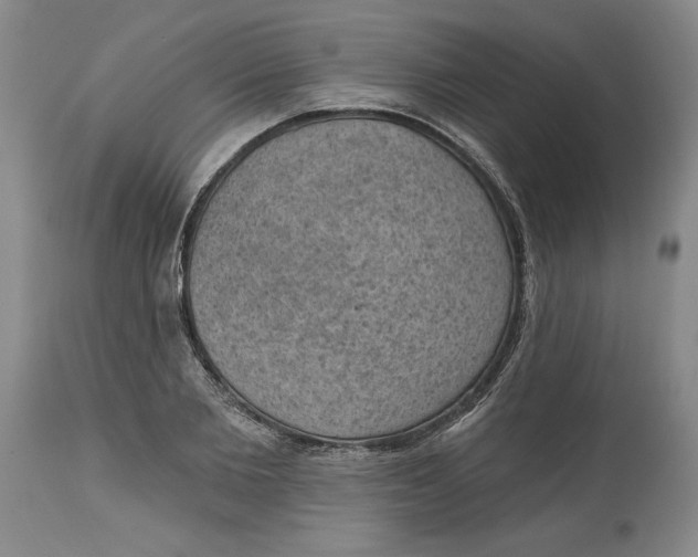 X0000114690885200911121516