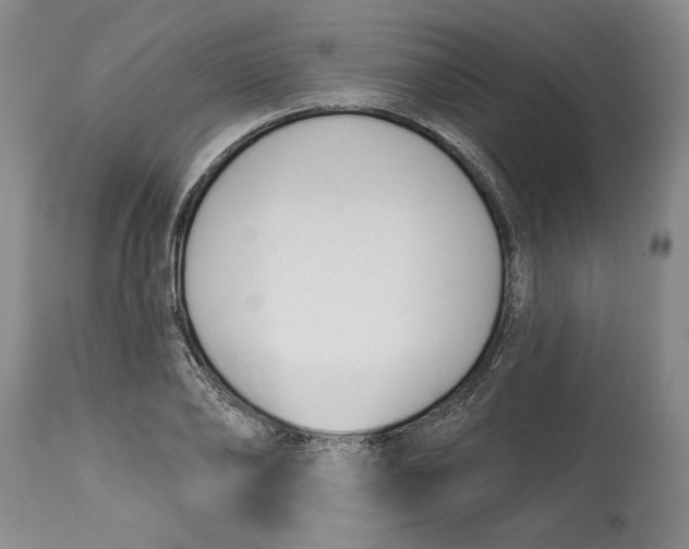 X0000114690886200911121516