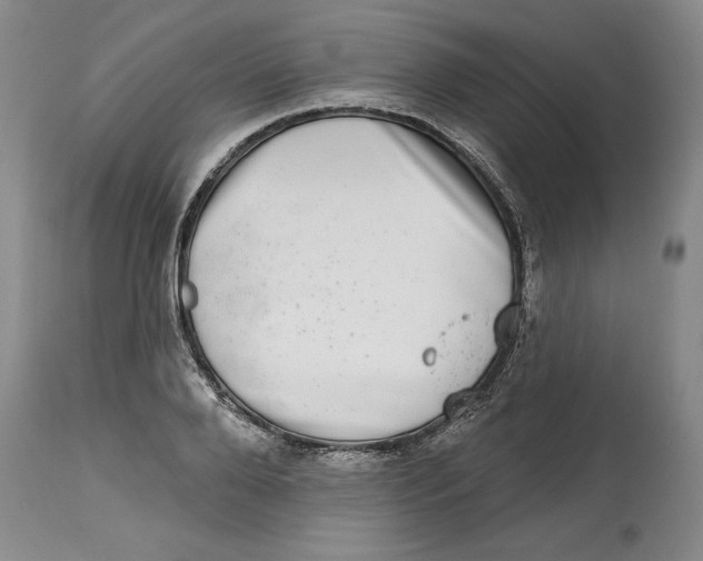 X0000114690888200911121516