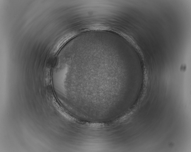 X0000114690889200911121516