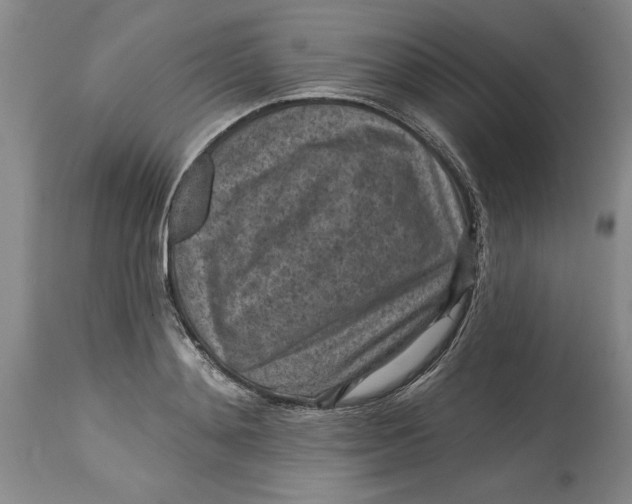 X0000114690892200911121516