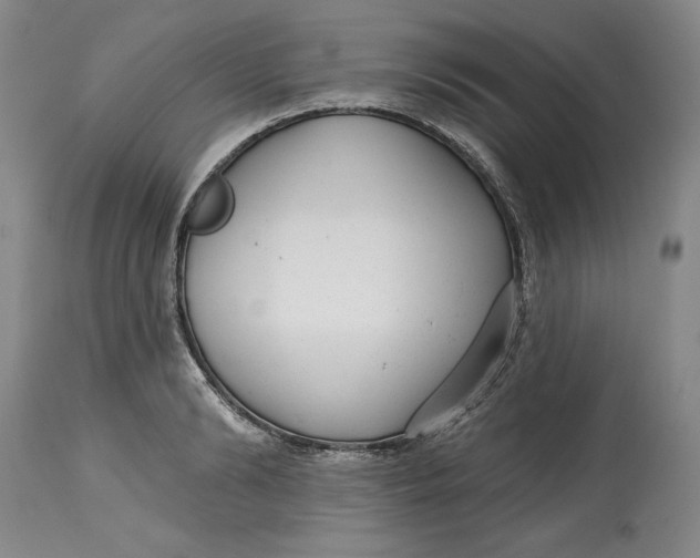 X0000114690894200911121516