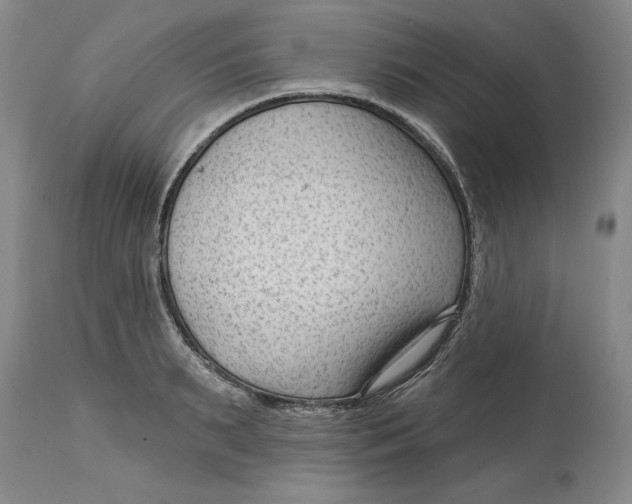 X0000114690895200911121516