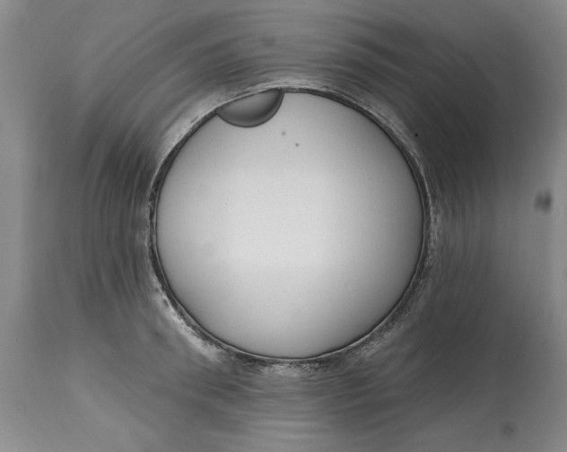 X0000114690898200911121516