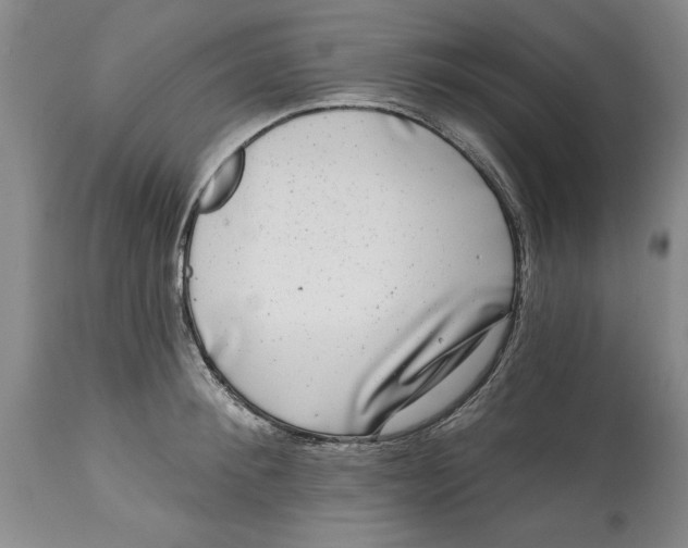 X0000114690900200911121516