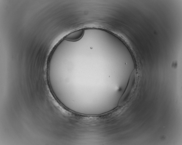 X0000114690902200911121516