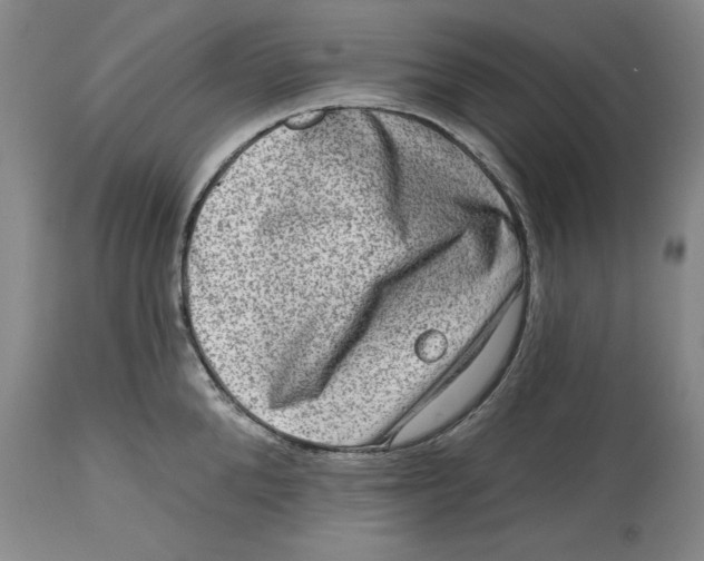 X0000114690904200911121516