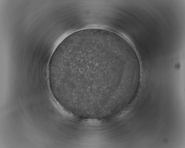 X0000114690907200911121516