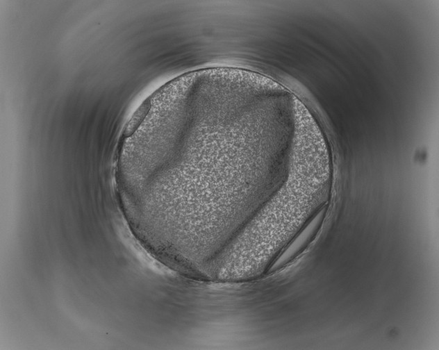 X0000114690908200911121516