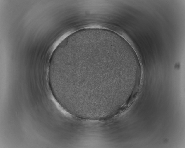 X0000114690909200911121516