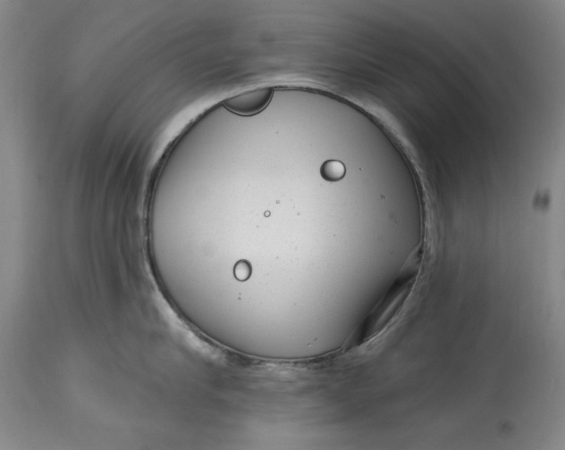 X0000114690910200911121516