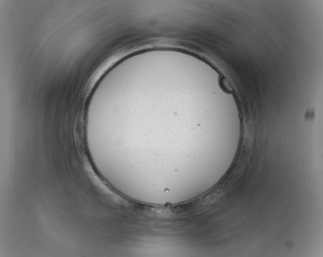 X0000114690911200911121516