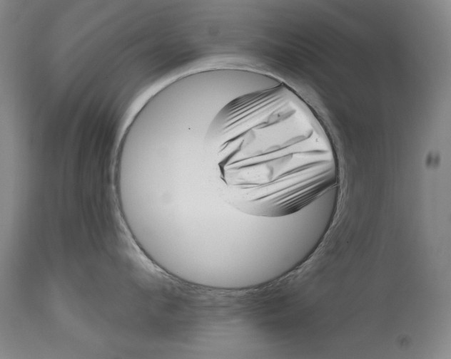 X0000114690912200911121516