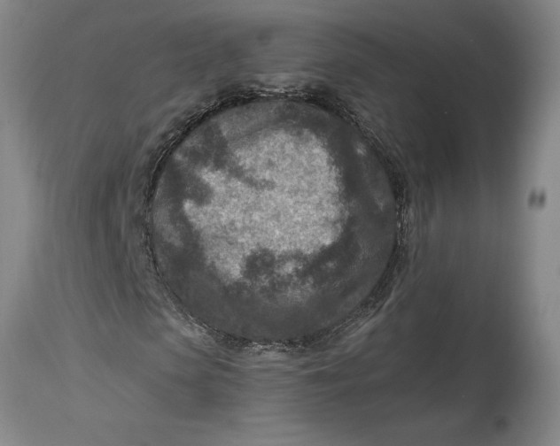 X0000114690913200911121515