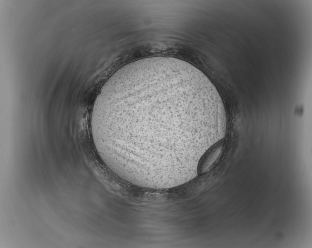 X0000114690914200911121515