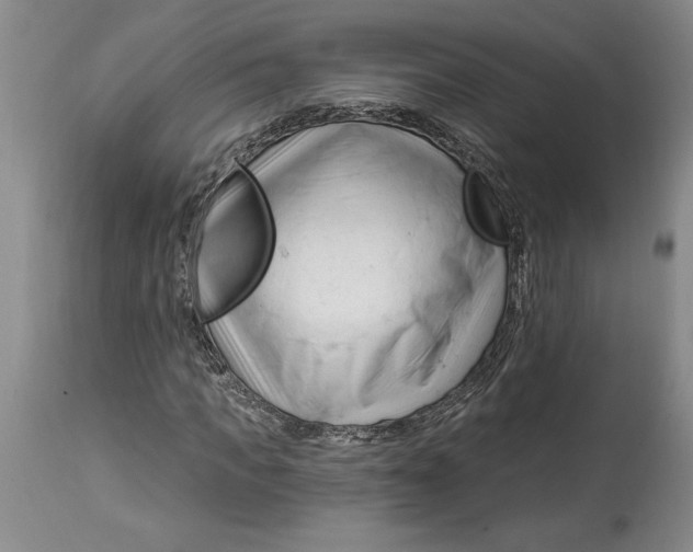 X0000114690917200911121515