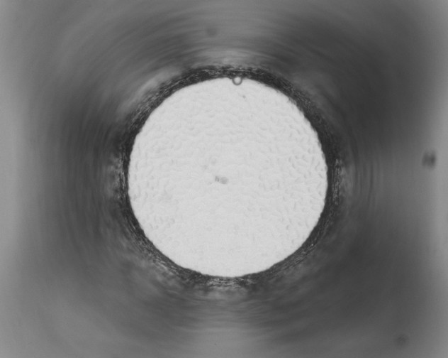 X0000114690918200911121515