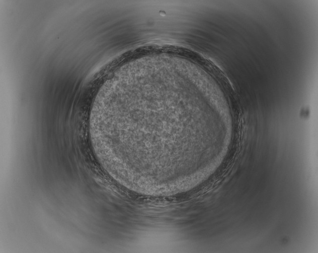 X0000114690919200911121515