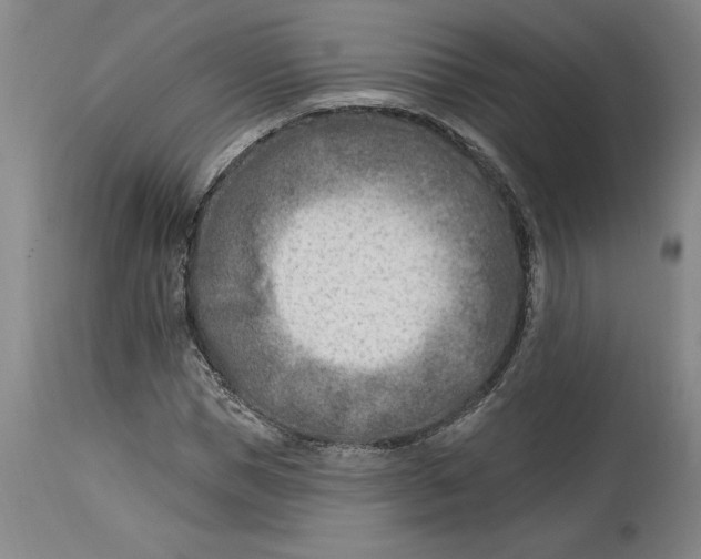 X0000114690921200911121515