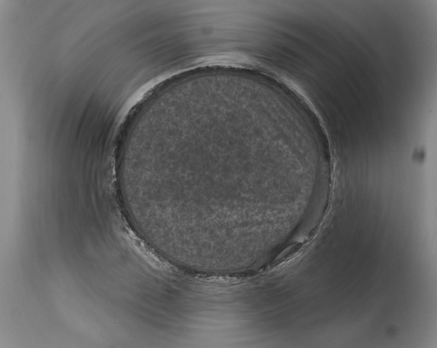 X0000114690923200911121515