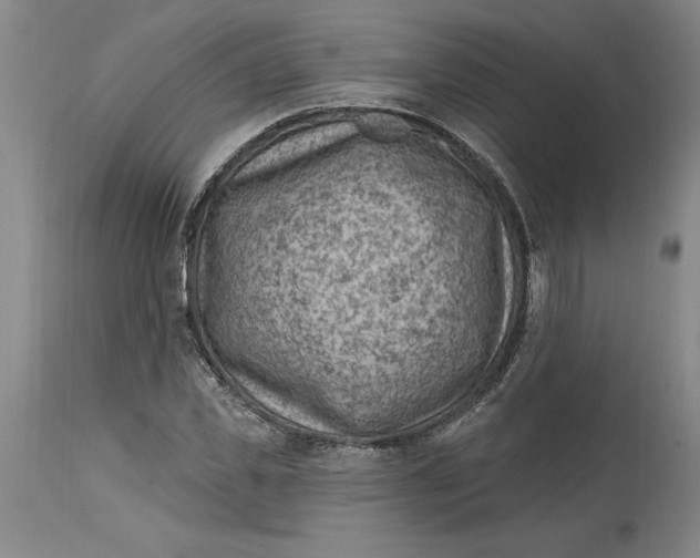 X0000114690925200911121515