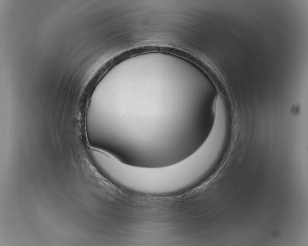 X0000114690926200911121515