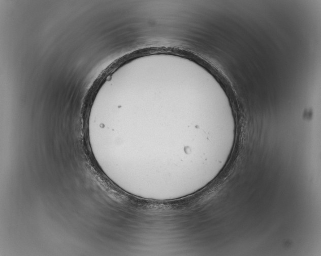 X0000114690927200911121515