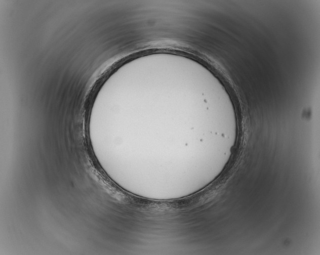 X0000114690931200911121515