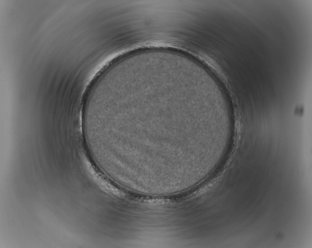 X0000114690934200911121515