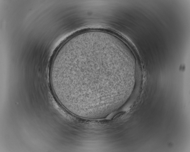 X0000114690935200911121515