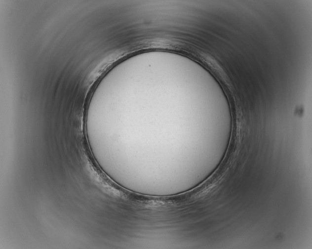 X0000114690938200911121515