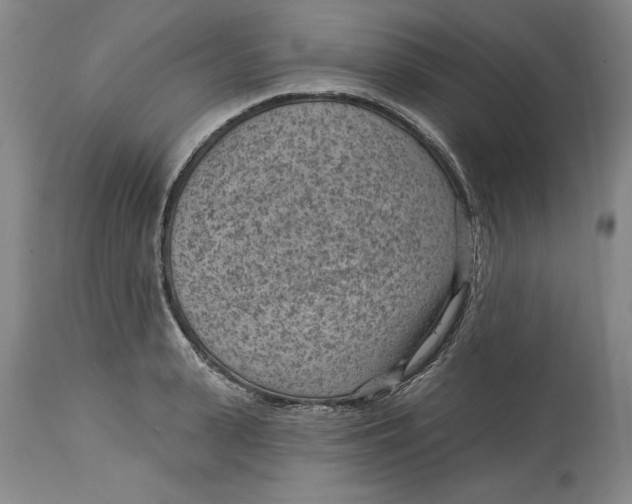 X0000114690943200911121515