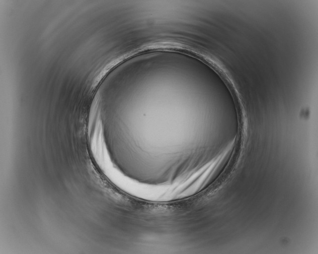 X0000114690945200911121515