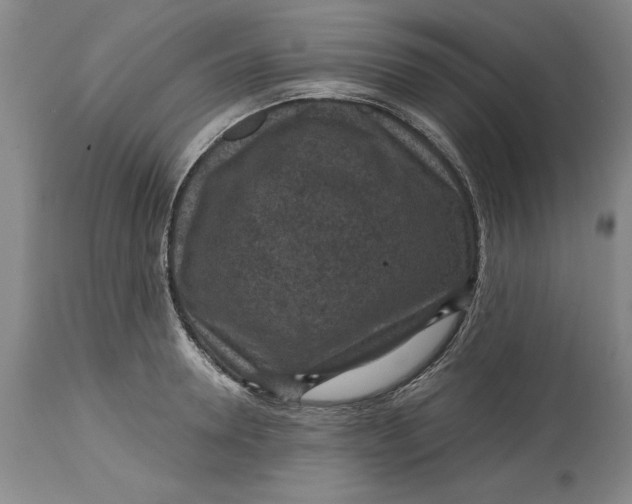 X0000114690946200911121515