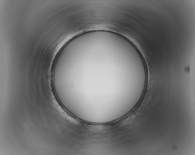 X0000114690949200911121515