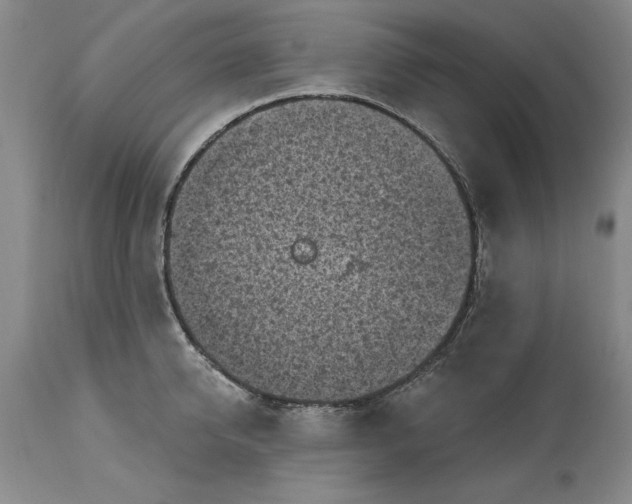 X0000114690950200911121515