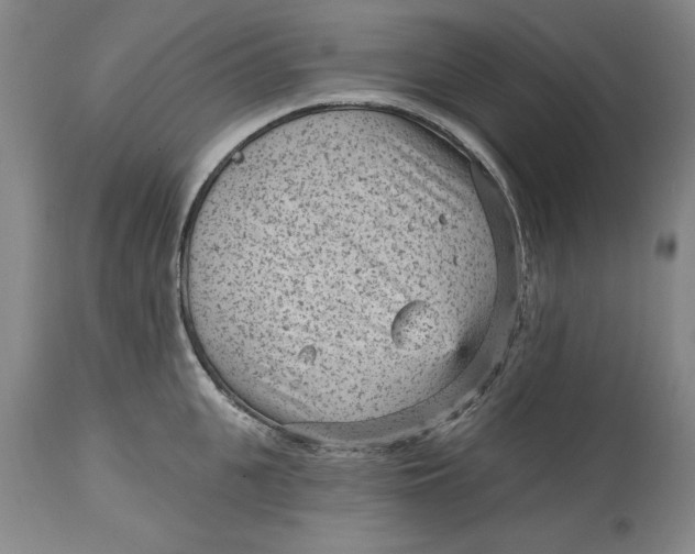 X0000114690951200911121515