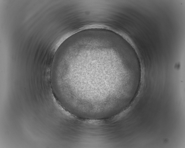 X0000114690953200911121515