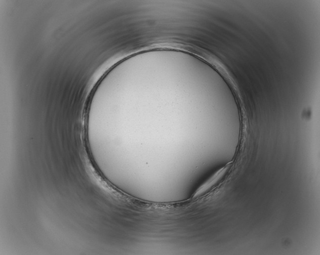 X0000114690955200911121515