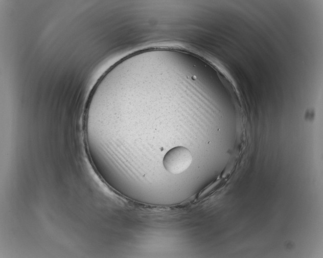 X0000114690959200911121516