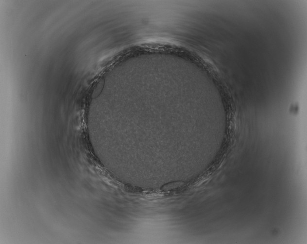 X0000114690965200911121515