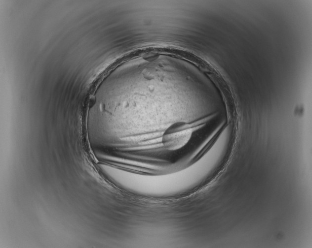 X0000114690969200911121515