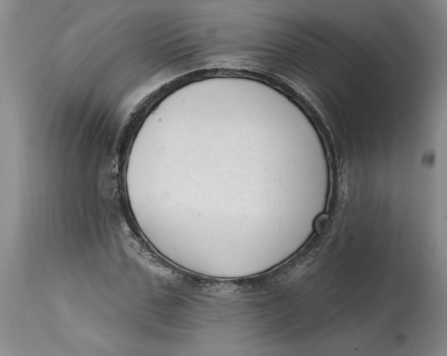 X0000114690971200911121515