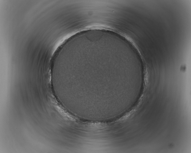 X0000114690973200911121515