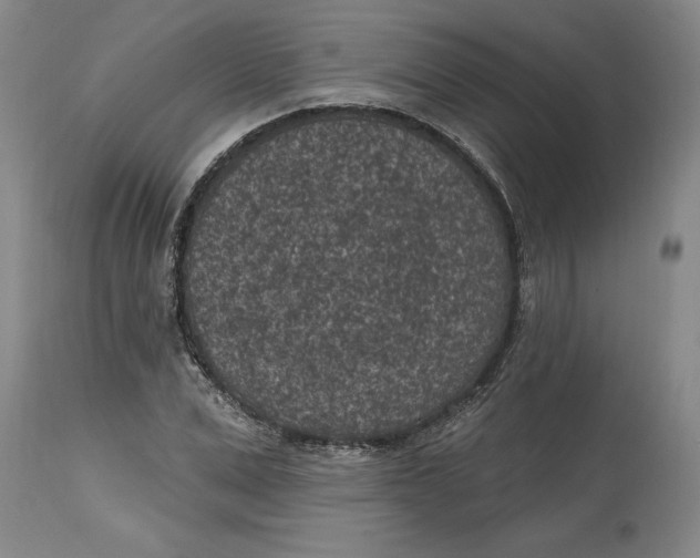 X0000114690975200911121515