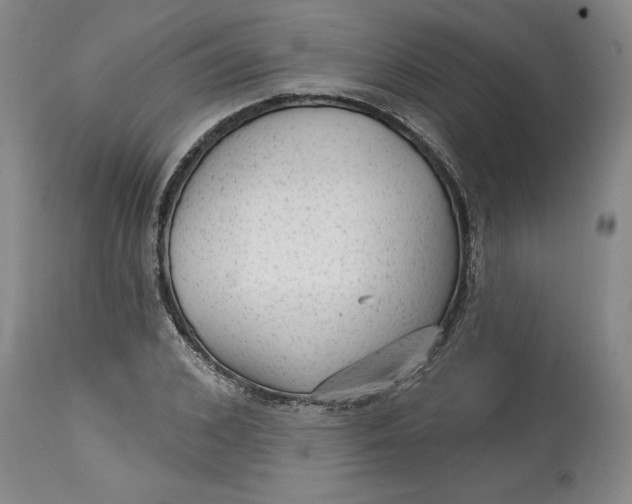 X0000114690976200911121515