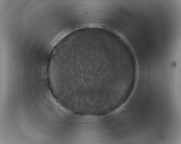 X0000114690977200911121515