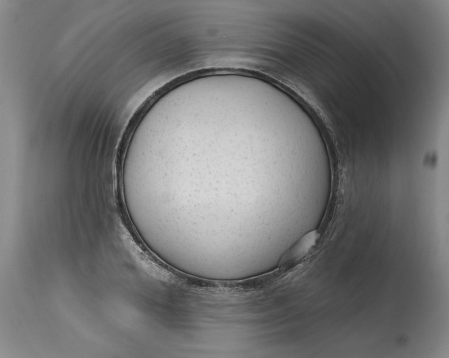 X0000114690980200911121515