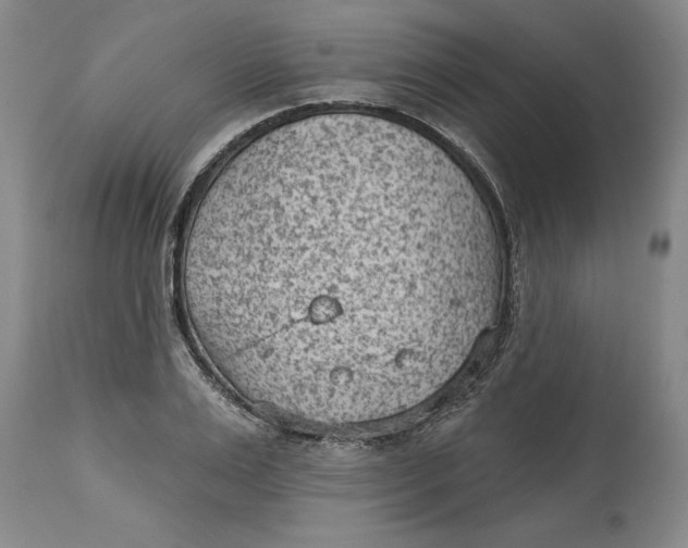 X0000114690983200911121515