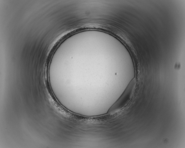 X0000114690984200911121515